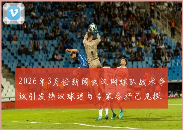 2026年3月份新闻武汉网球队战术争议引发热议球迷与专家各抒己见探讨未来发展方向